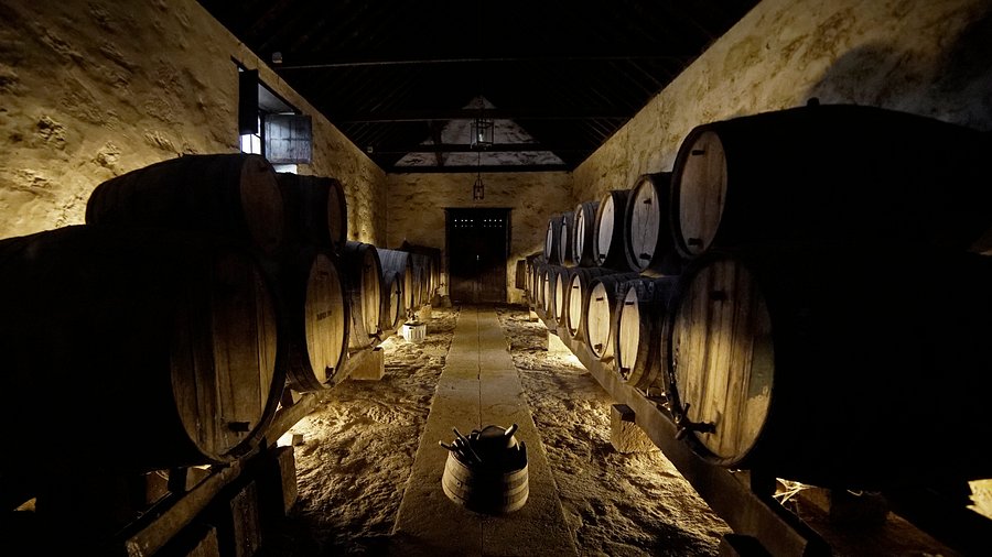 Bodegón Vandama