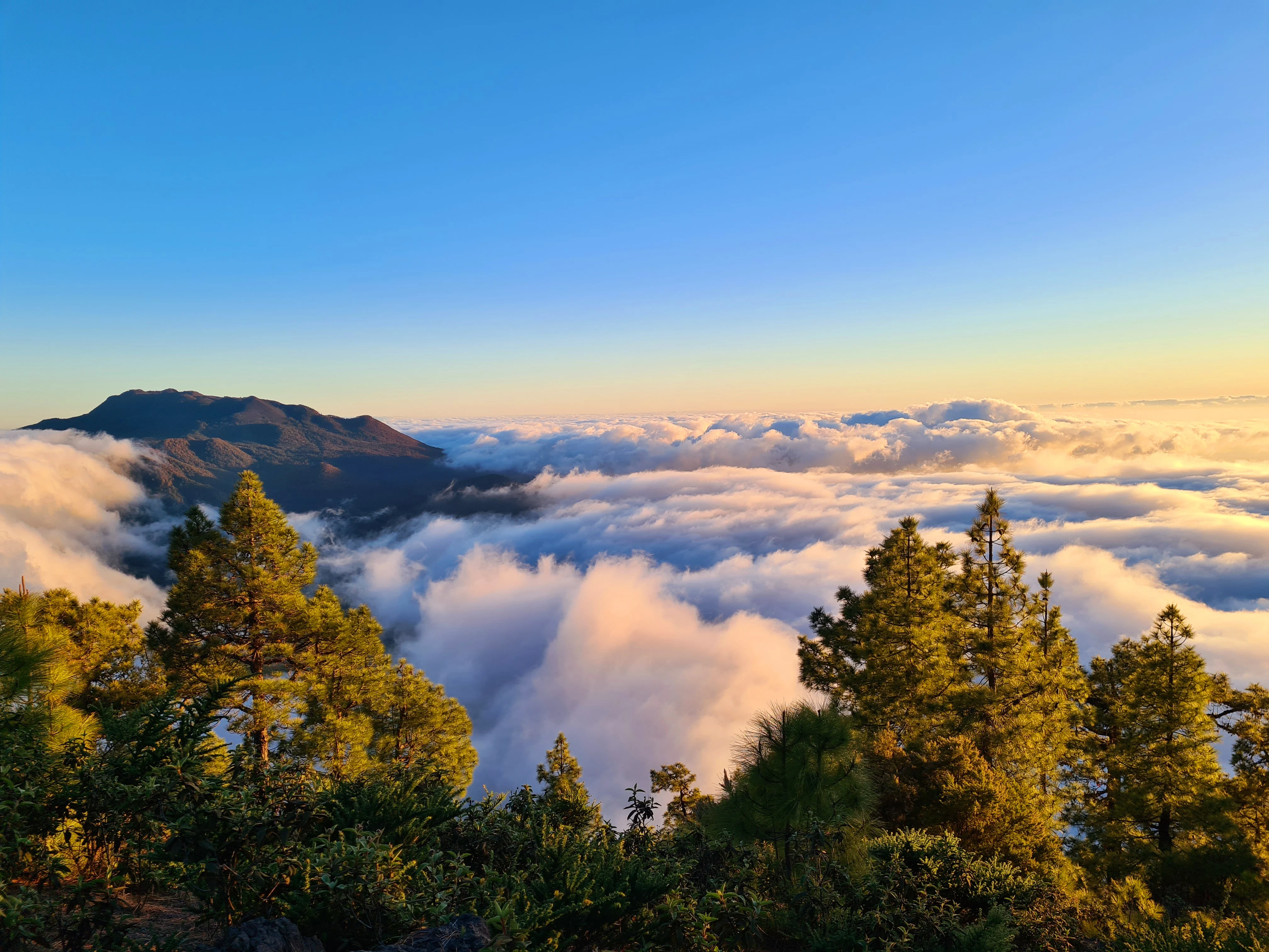 Pico de las Nieves